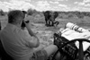 Hwange